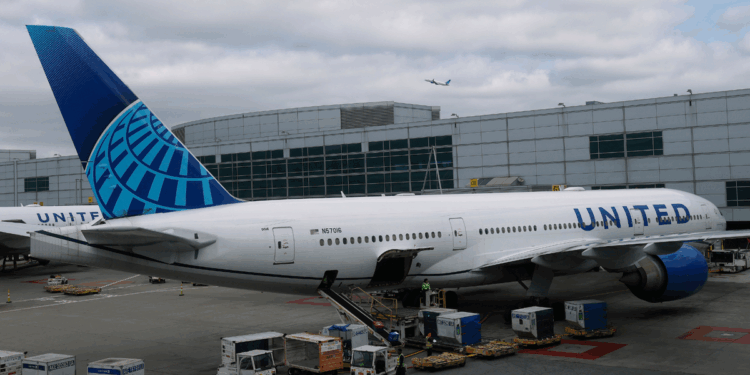 Mystery object which injured pilot and forced plane to make emergency landing revealed