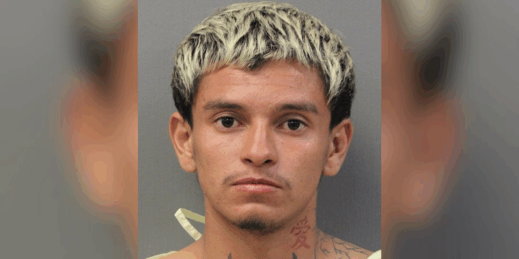 Urgent manhunt to detain 'vicious' illegal who 'raped woman, 54, in major US city'