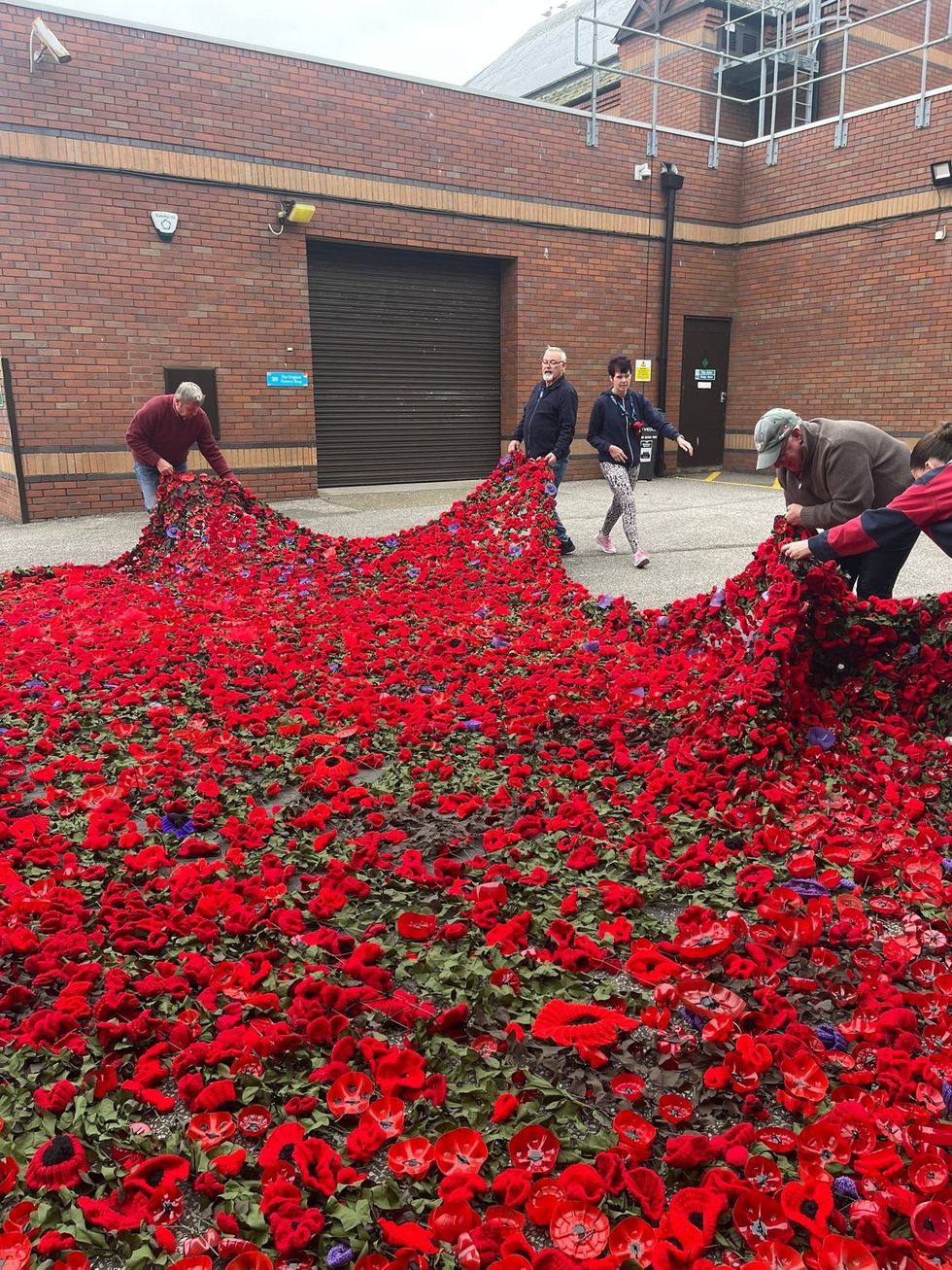 Poppy display