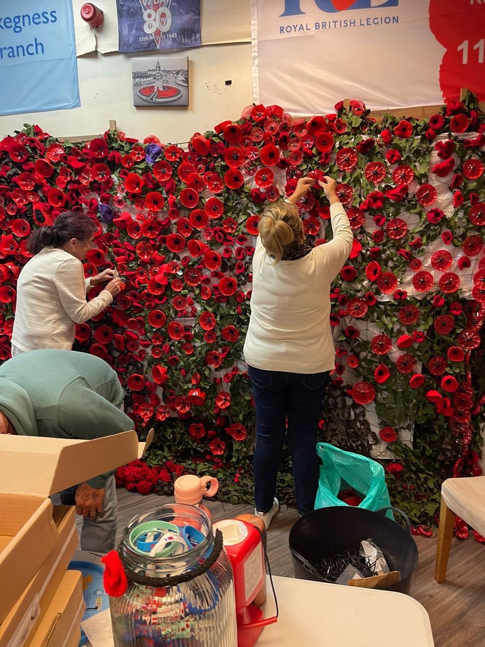 Poppy display