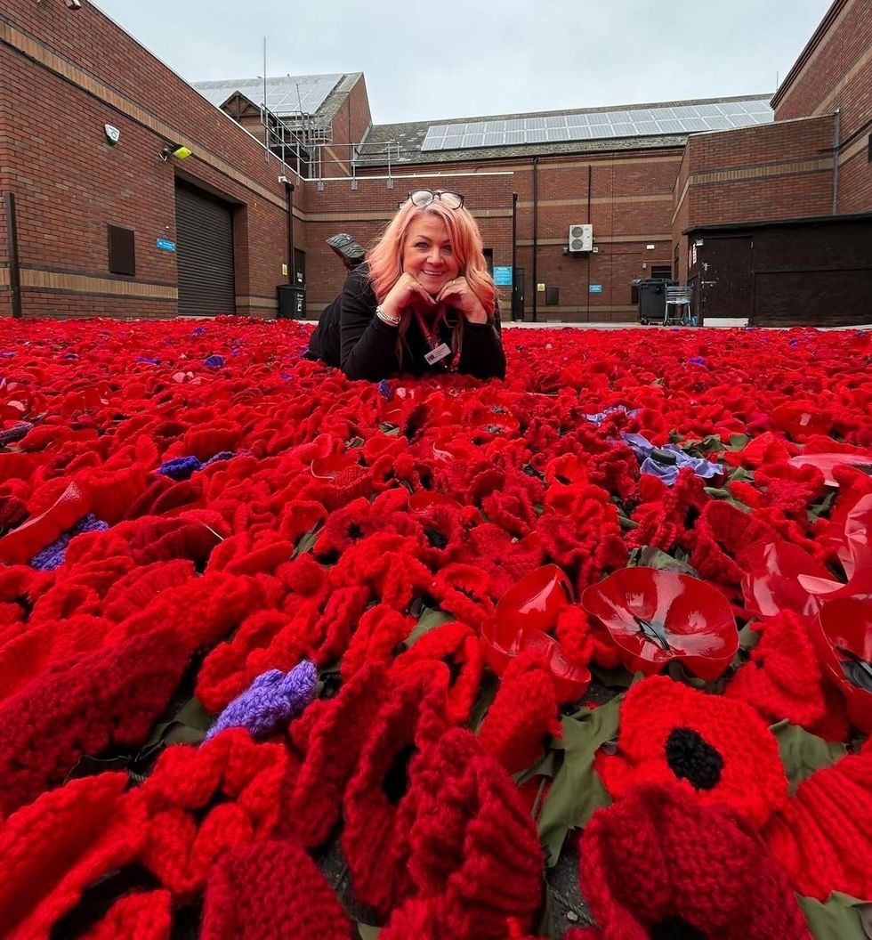 Tracy Turner on net of poppies