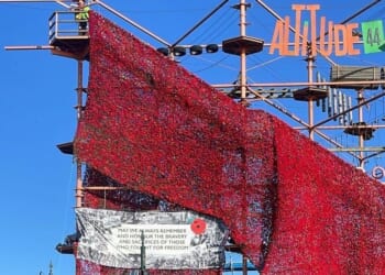 Remembrance display of 84,000 poppies will attempt to set world record: 'It is truly spectacular!'