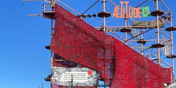 Remembrance display of 84,000 poppies will attempt to set world record: 'It is truly spectacular!'