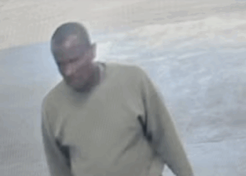 Epping migrant sex attacker spotted five miles from last known location as police search narrows