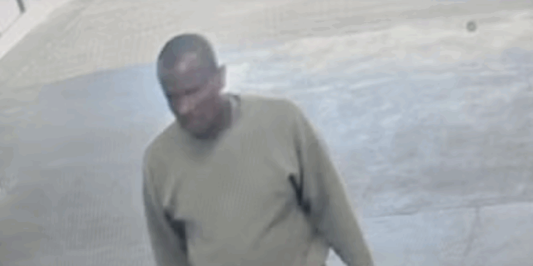 Epping migrant sex attacker spotted five miles from last known location as police search narrows