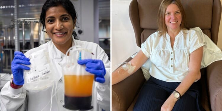 NHS urges Britons to donate 'liquid gold' for life-saving medicines | UK | News