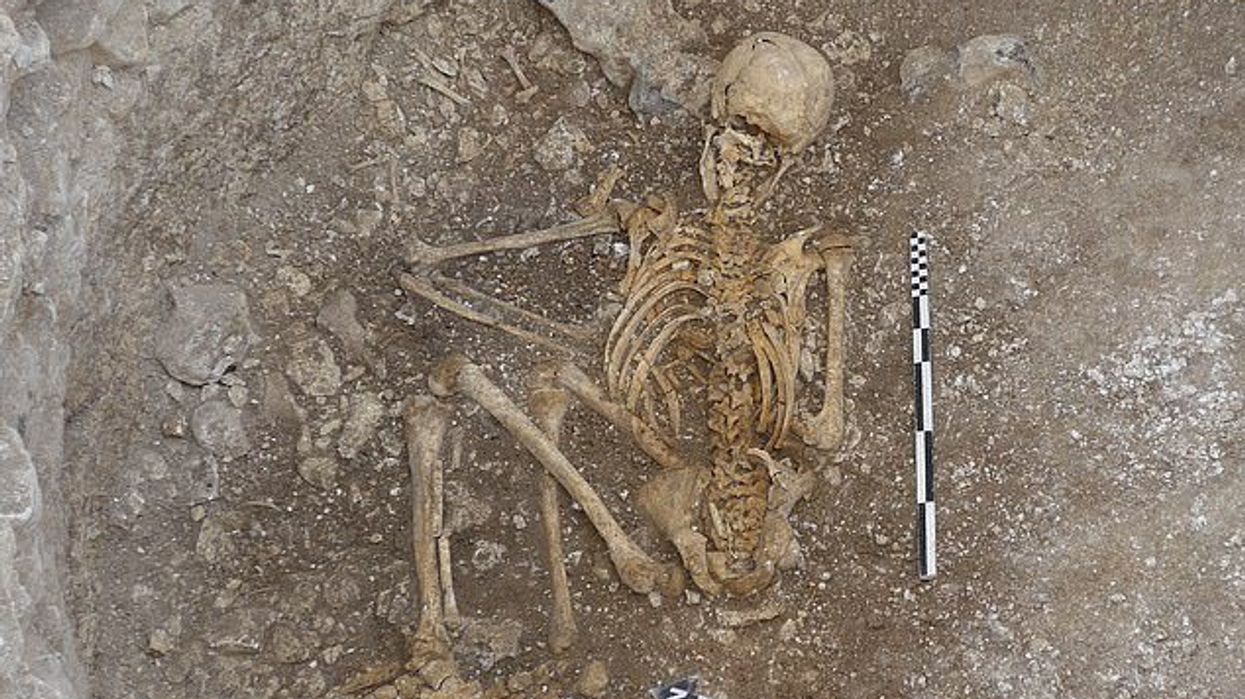 The remains which were found