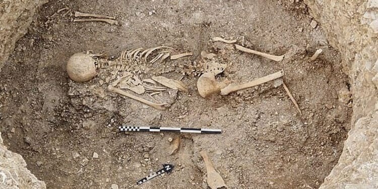 Archaeologists stunned by evidence of 'theatrical' human sacrifice unearthed in Dorset