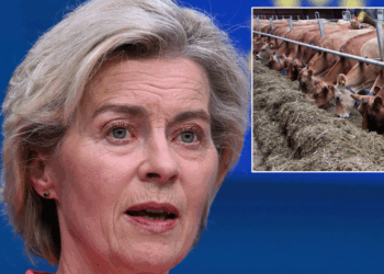 Billions of baby animals set to be victims of EU's ruthless axe as UK falls prey to loophole