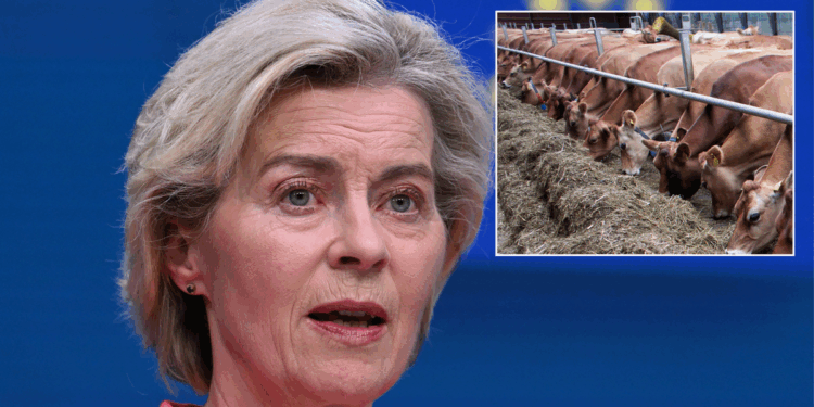 Billions of baby animals set to be victims of EU's ruthless axe as UK falls prey to loophole