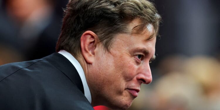 Elon Musk 'rewriting history books' with AI research into ancient Rome