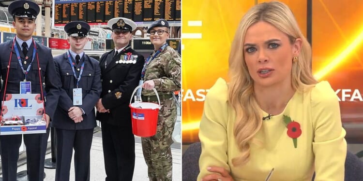 London Poppy Day: Ellie Costello calls out Britons for abandoning poppies ahead of Remembrance Day