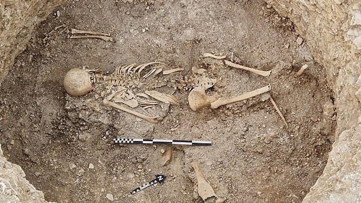 The remains which were found