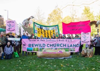 As Archbishop, focus on biodiversity of church land, Mullally is urged