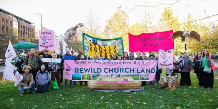 As Archbishop, focus on biodiversity of church land, Mullally is urged