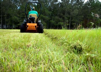 Brickbat: Family Discount - Reason.com