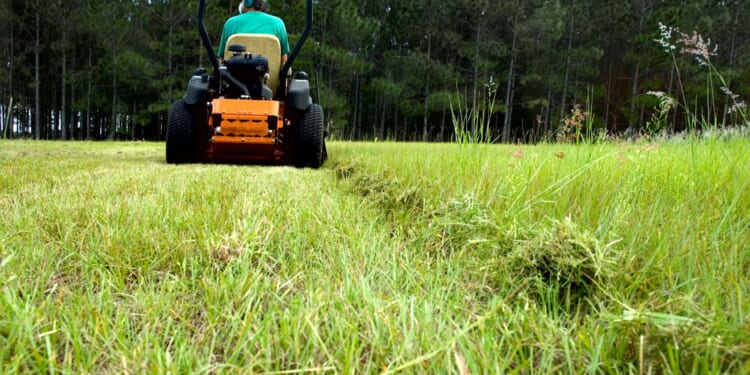 Brickbat: Family Discount - Reason.com