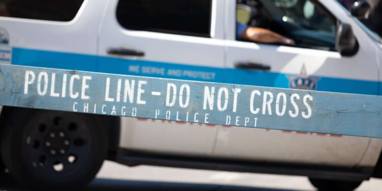 Brickbat: The Chicago Code