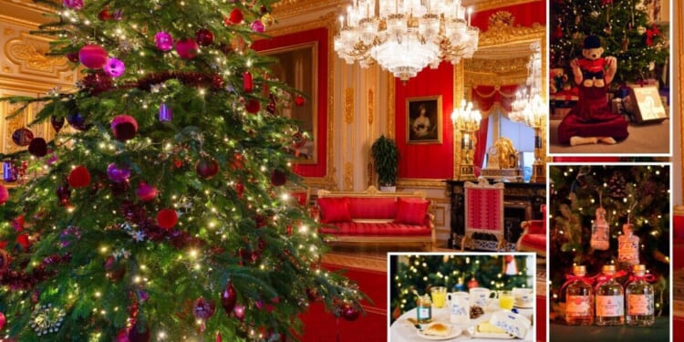 Buckingham Palace to open first ever Christmas shop | Royal | News