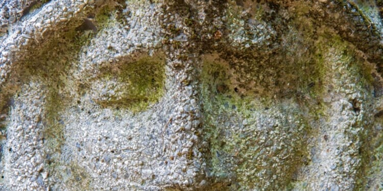 Coming face to face with God