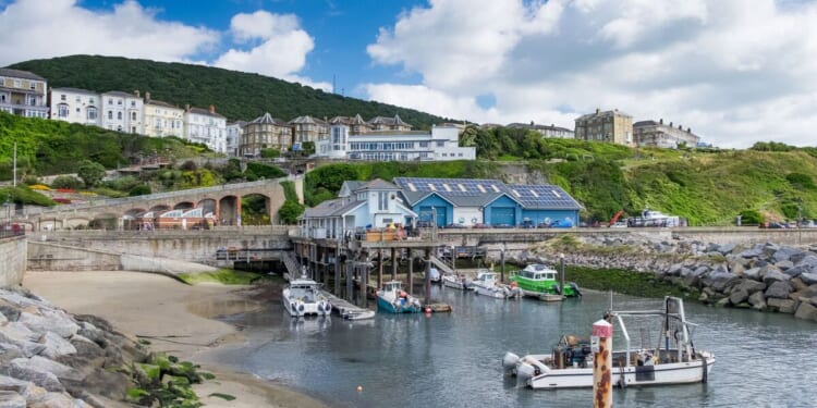 Council meetings on Isle of Wight erupts into chaos - 'fascist pig' | UK | News