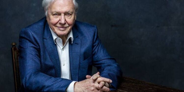 David Attenborough to explore 'wild encounters' in new BBC programme | UK | News