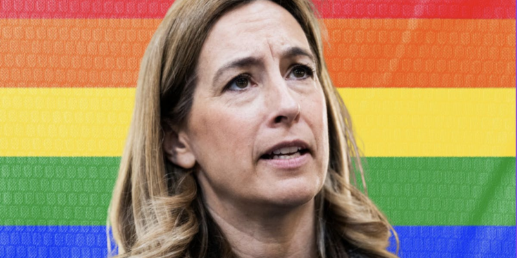 Dem Gov Candidate Mikie Sherrill Says She’d Mandate LGBTQ Content In NJ Classrooms