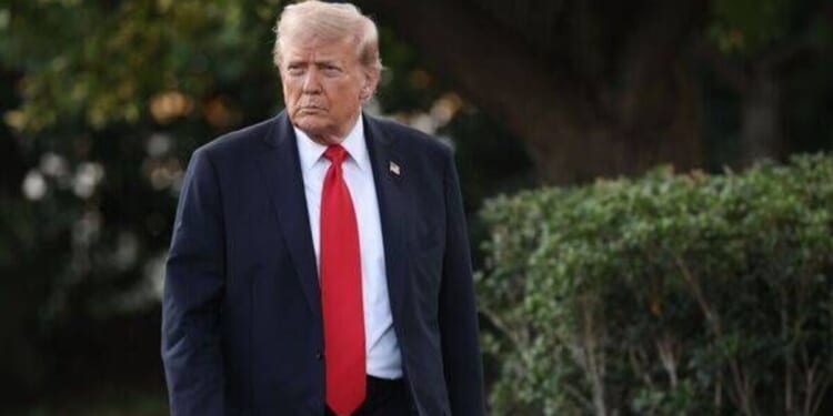 Donald Trump issues update and makes AOC jibe in live interview | US | News