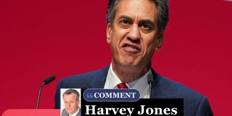 'Ed Miliband goes rogue – he had ONE job, and wilfully sabotaged it' | Personal Finance | Finance