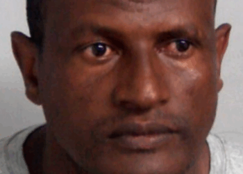 Epping migrant sex attacker finally ARRESTED after 45 hour police manhunt following prison release