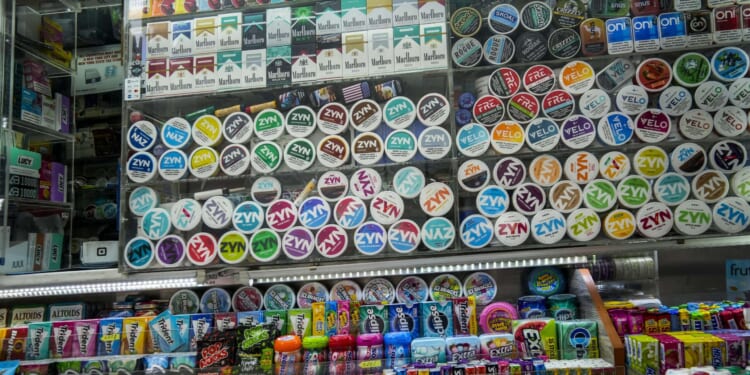 FDA failures allow fake nicotine pouches to flood U.S. market