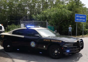 Florida scrubs arrests of U.S. citizens from immigration enforcement data