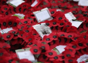 Fury as council cancels Remembrance Sunday parade over ‘health and safety fears’ | UK | News