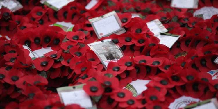 Fury as council cancels Remembrance Sunday parade over ‘health and safety fears’ | UK | News