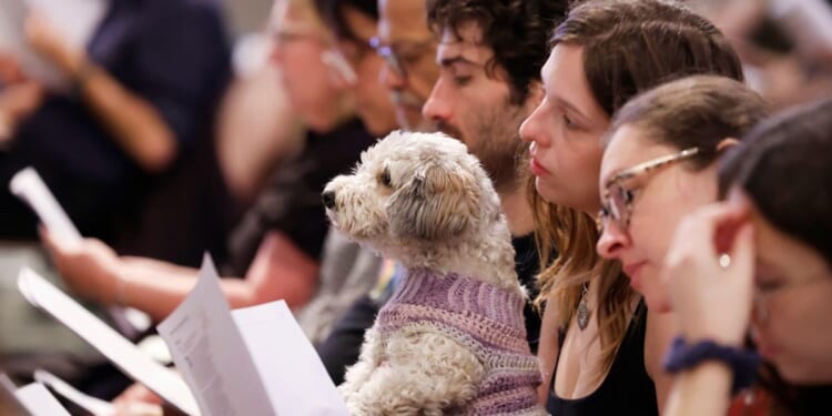 Have a go at the Church Times caption competition