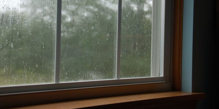 Household urged to put 68p natural item on windowsills from November | UK | News