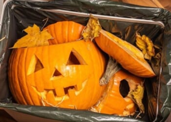 Households told not to throw pumpkins in black bins after Halloween | UK | News