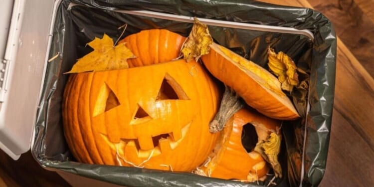 Households told not to throw pumpkins in black bins after Halloween | UK | News