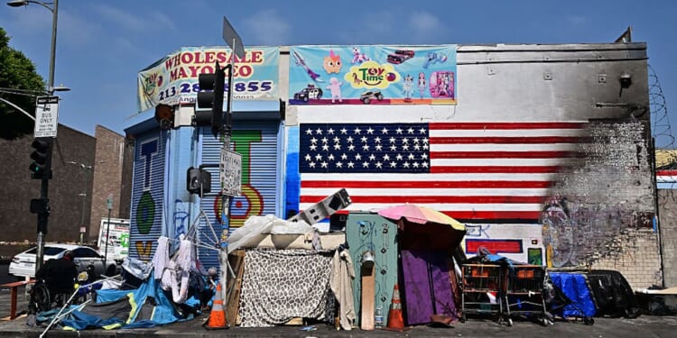 Leftist Groups Exploit The Homelessness Crisis To Push ‘Anti-American Ideologies,’ Watchdog Says