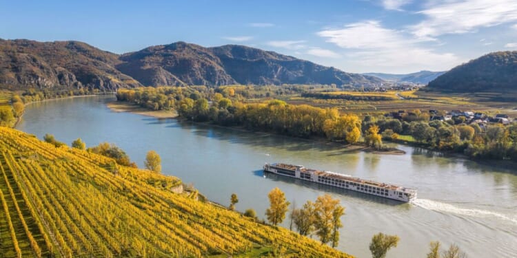 Major cruise holidays operator announces 3 brand new ships: ‘Just the | World | News