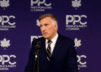 Maxime Bernier warns Canadians of threat to internet access posed by Liberal bill