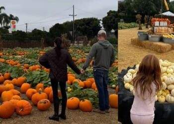 Meghan Markle shares adorable video of Archie and Lilibet with Harry | Royal | News