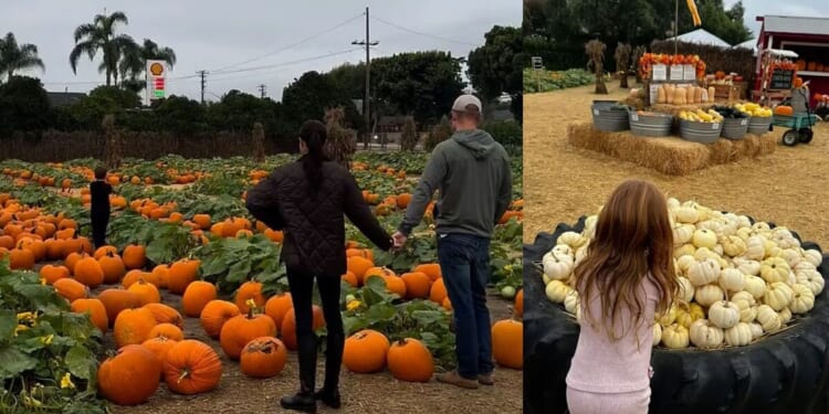 Meghan Markle shares adorable video of Archie and Lilibet with Harry | Royal | News