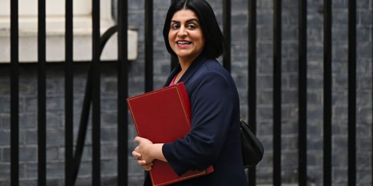 Migrants to train Brits in new 'work and teach' plan backed by Labour | UK | News