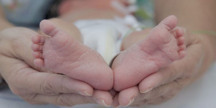 Mystery solved 35 years after doctors accidentally muddled up newborns | World | News