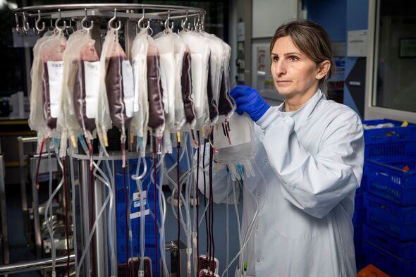 blood bags hanging up blood bags hanging up