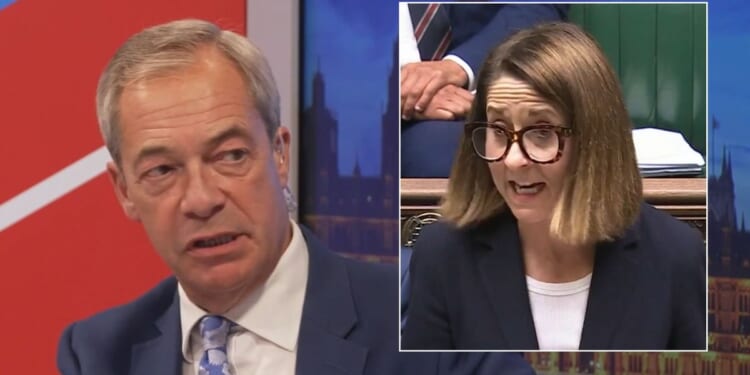 Nigel Farage fumes 'cat is out of the bag' as he condemns 'sinister' Digital IDs