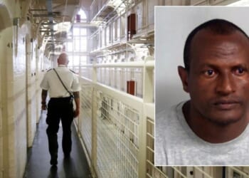 Number of people wrongly released from prison each year as Epping migrant hotel sex attacker walks free in disastrous mishap