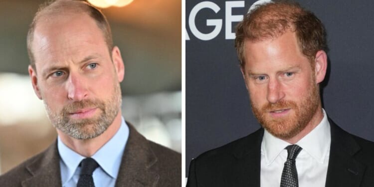 Prince William and Prince Harry united for one 'strict' reason | Royal | News