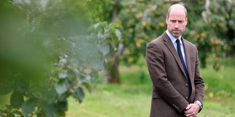 Prince William's two-word command to Princess Kate showed true colours | Royal | News